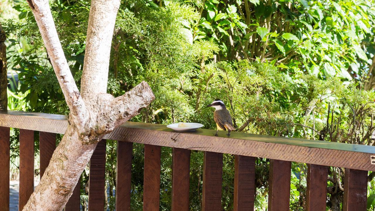 Ossos Guest House Búzios Dış mekan fotoğraf